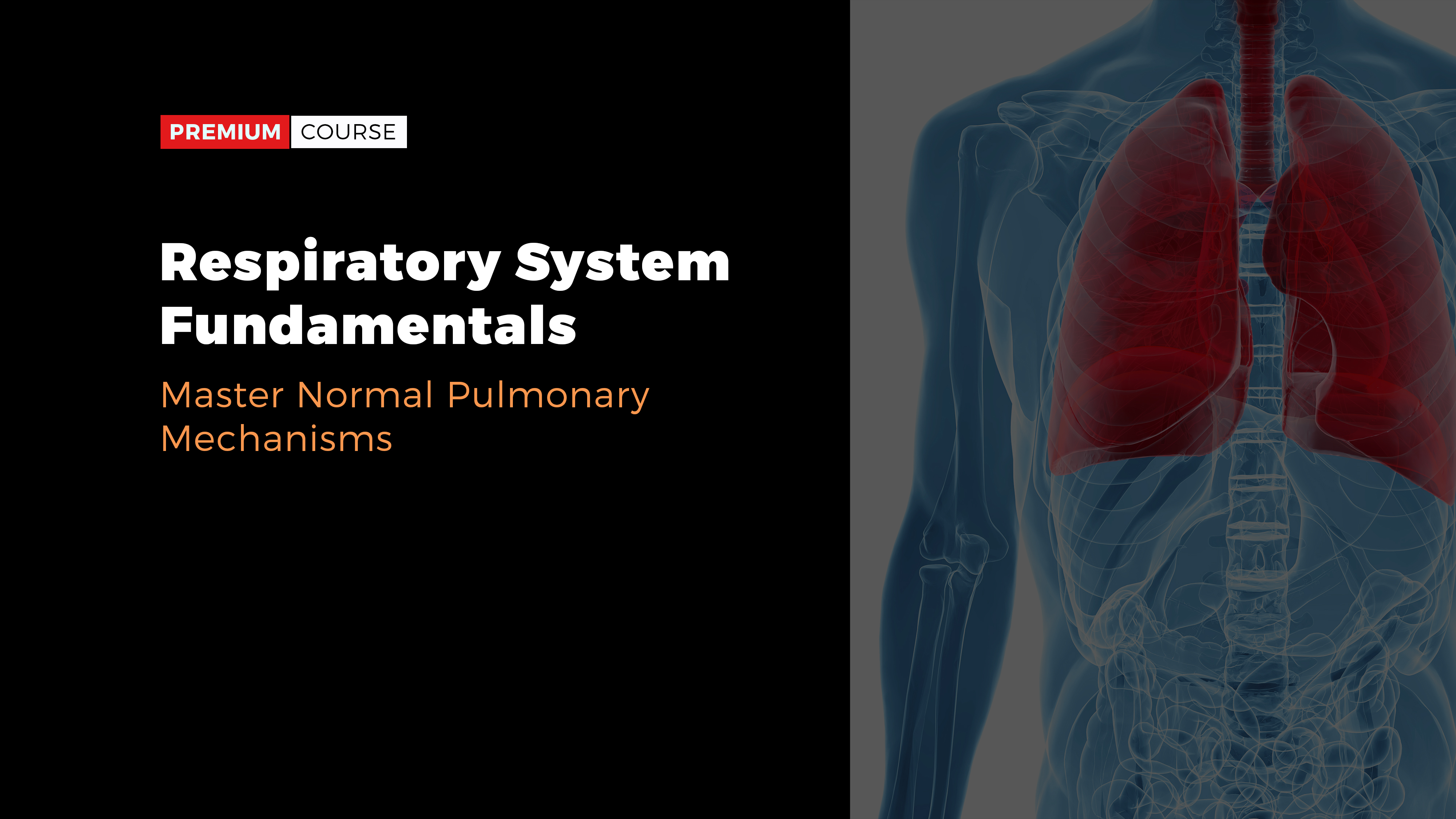 what portions of the respiratory system are referred to as anatomical dead space?