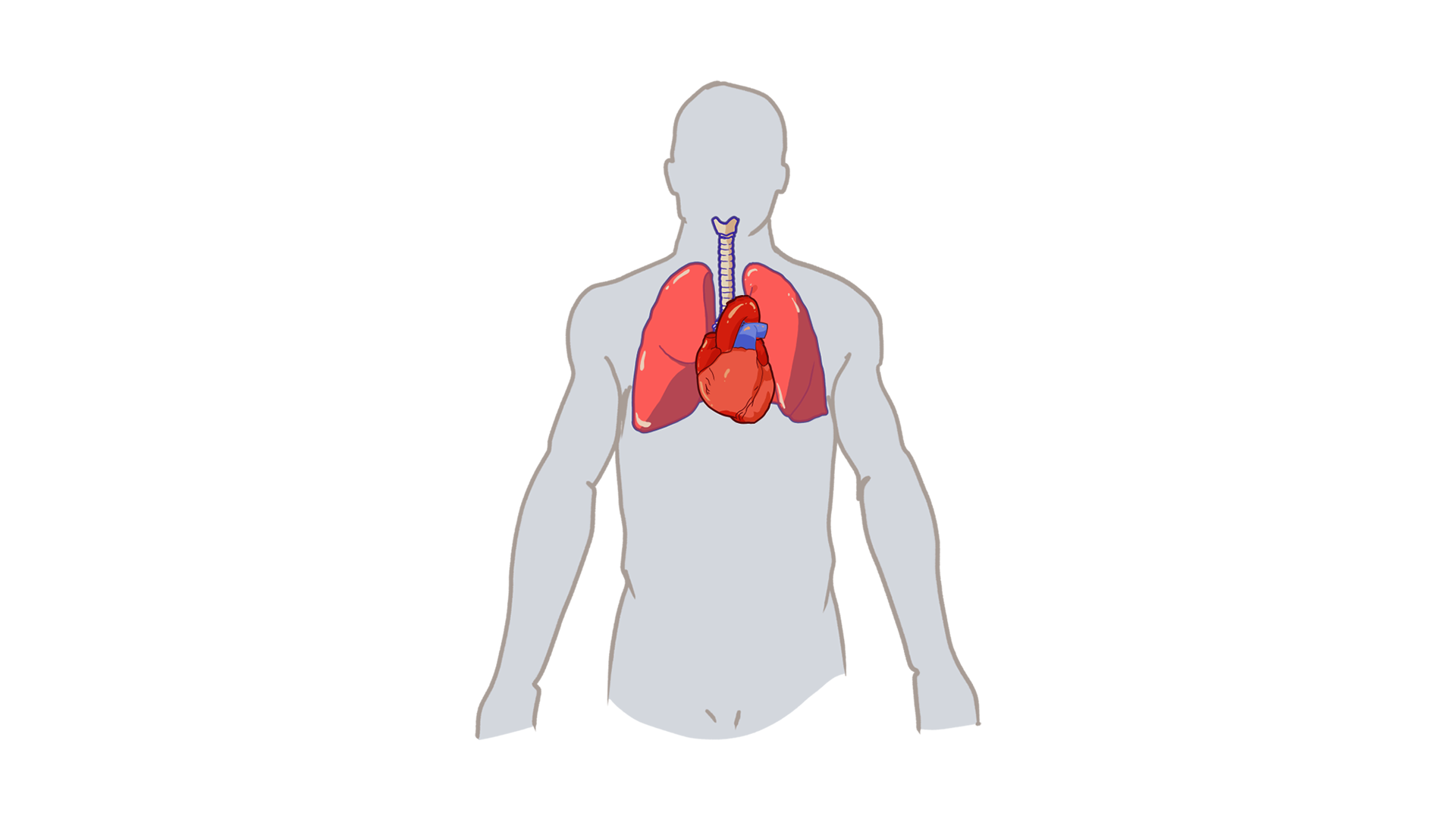 Masterclass Respiratory Fundamentals