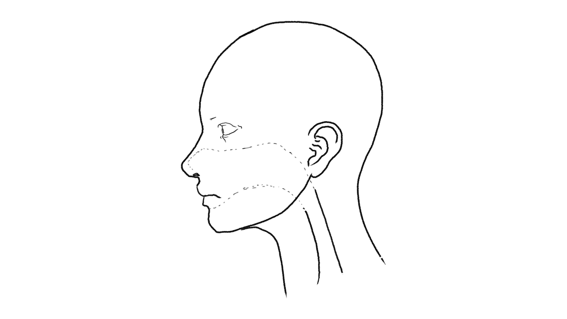 Ear Nose and Throat (ENT)