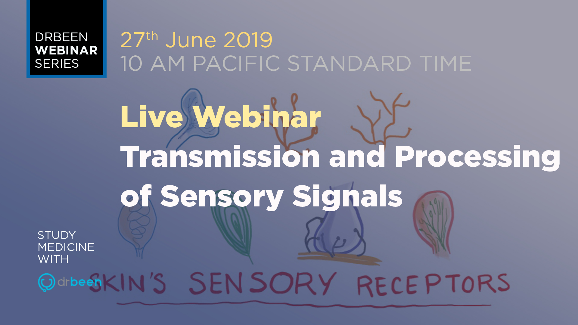 Transmission and Processing of Sensory Nerve Signals